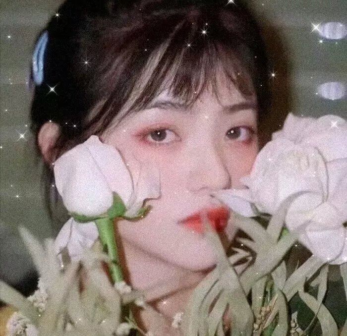 荡妇姬黛