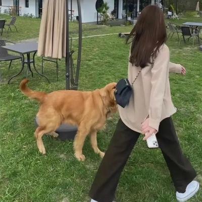 打车惊魂